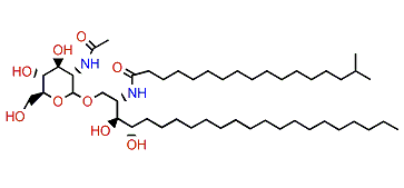 Halicylindroside A1